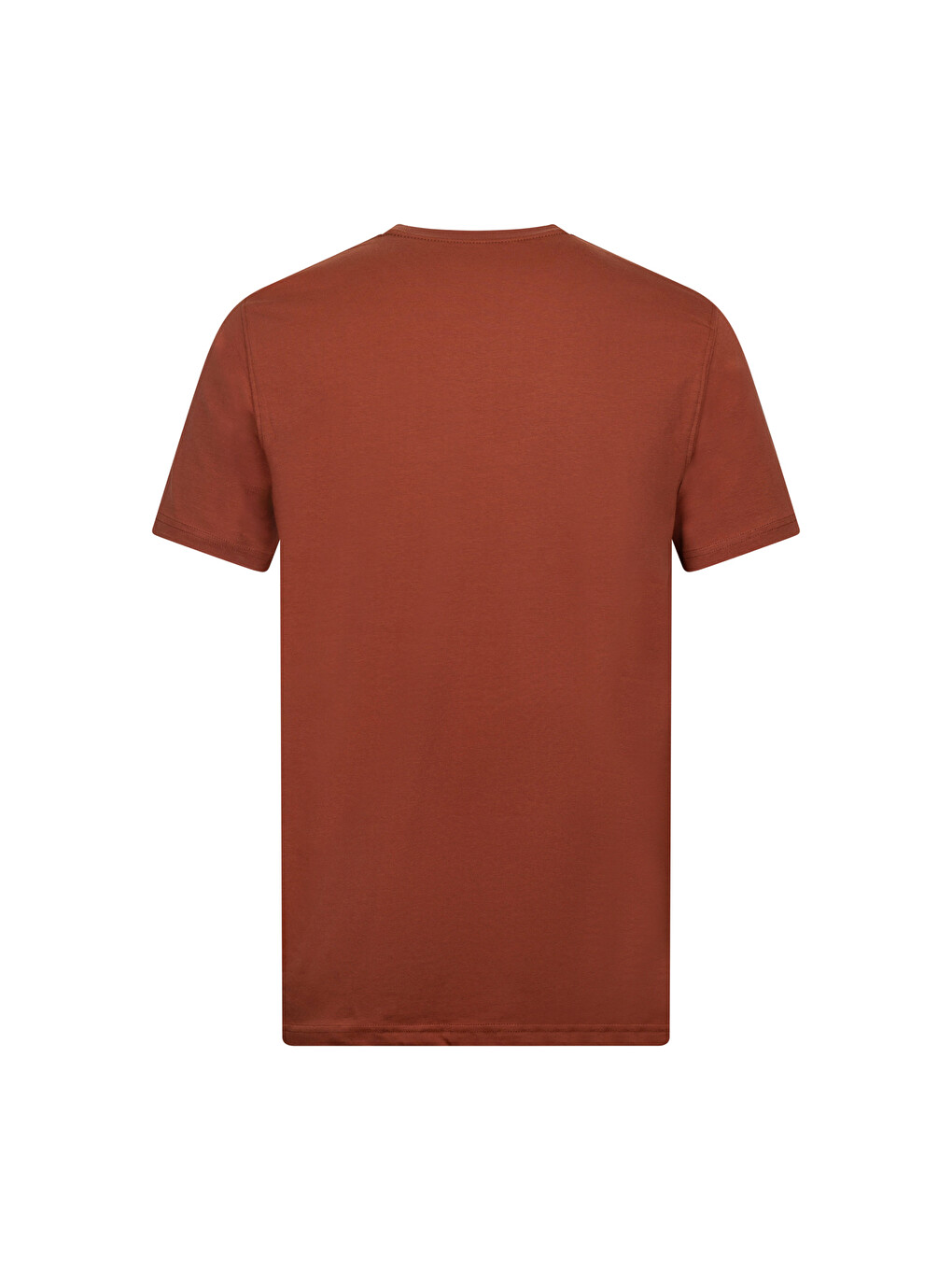Kahverengi Regular Fit Bisiklet Yaka Pamuklu Basic Tişört-1