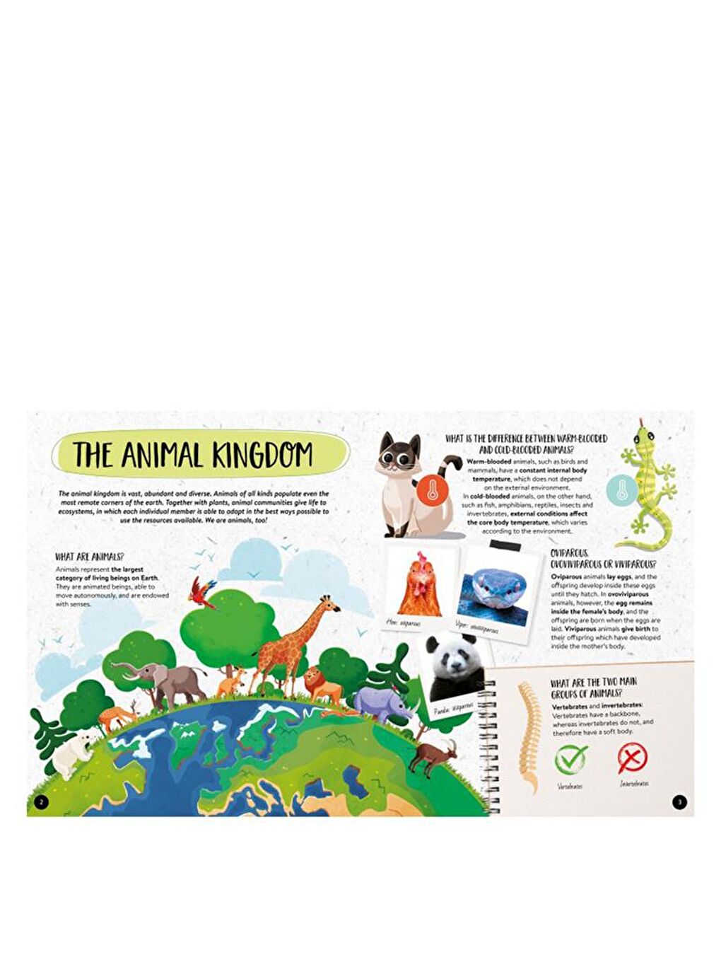 What - How - Why? Animals-1