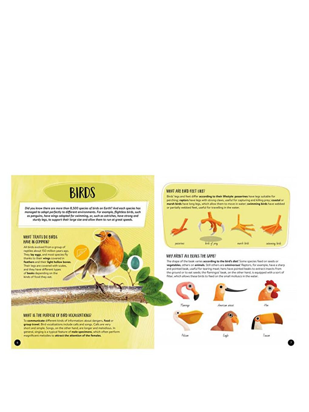 What - How - Why? Animals-2