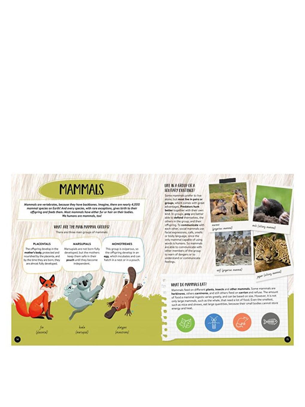 What - How - Why? Animals-3