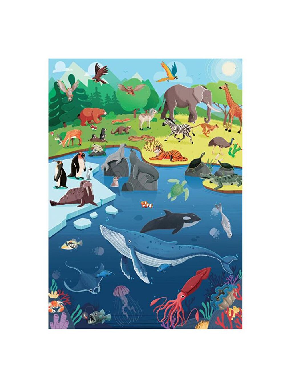 What - How - Why? Animals-4