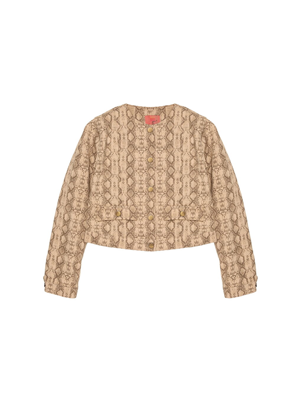 Yılan Desenli Düğmeli Ceket Bej-1