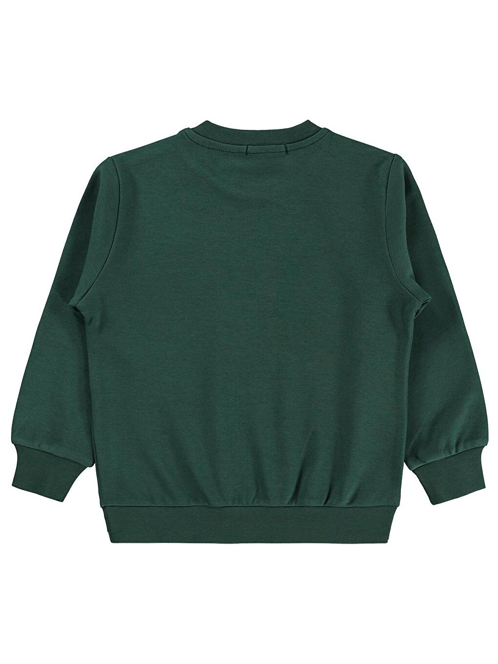 Boys Awesome Aslan Baskılı 2-5 Yaş Sweatshirt Km - Yeşil-1