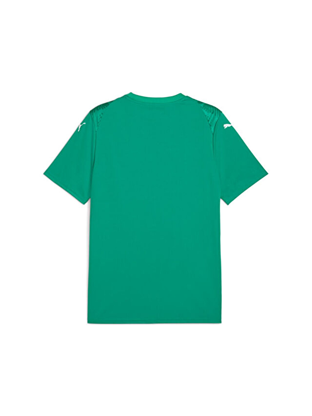 Teamultimate Jersey Erkek Futbol Maç Forması 70628005 Yeşil-1