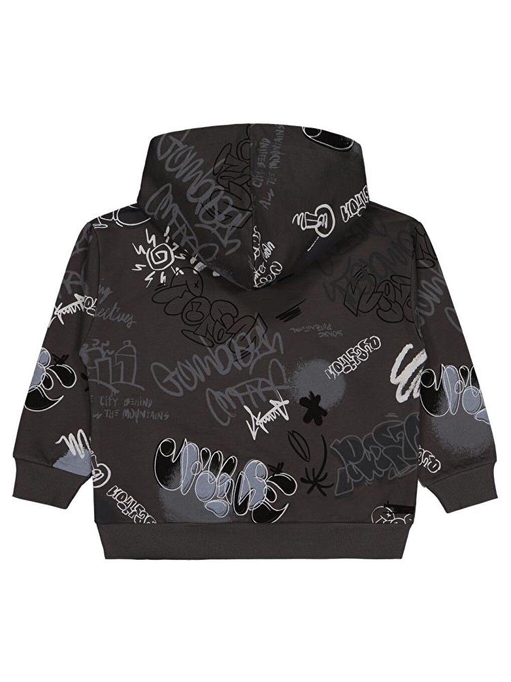 Antrasit Boys Grafiti Empirme Baskılı 6-9 Yaş Sweatshirt-1