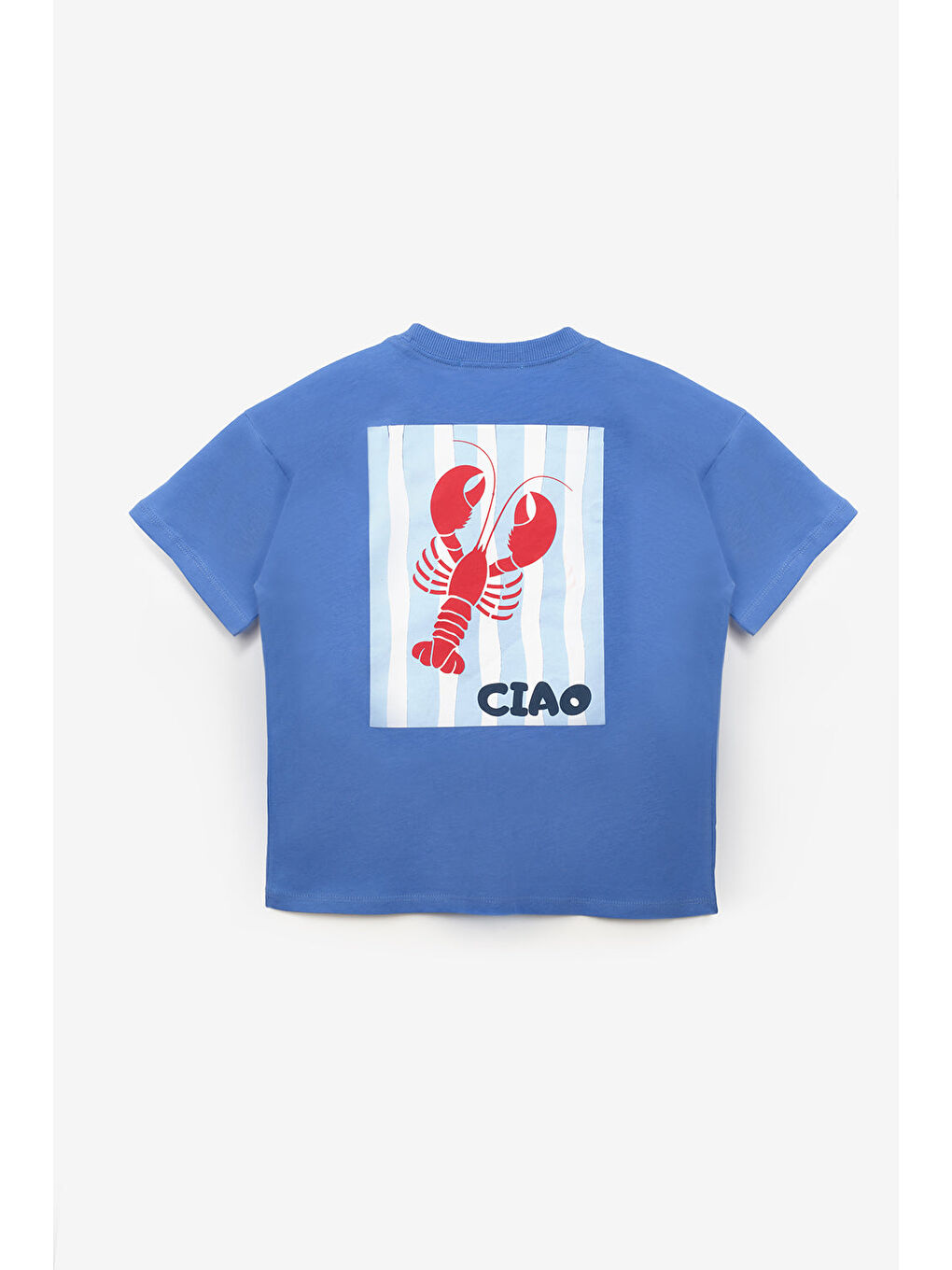 Mavi Istakoz Desenli Çocuk Tişört-4