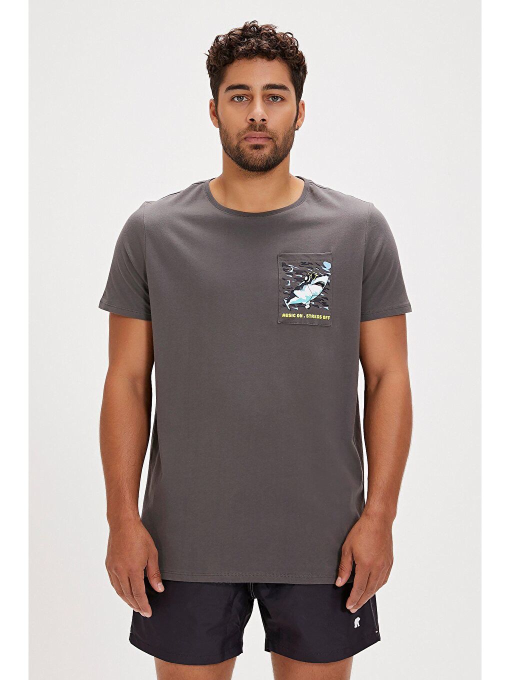 Gri Francis Asfalt Baskılı Erkek Tişört-5