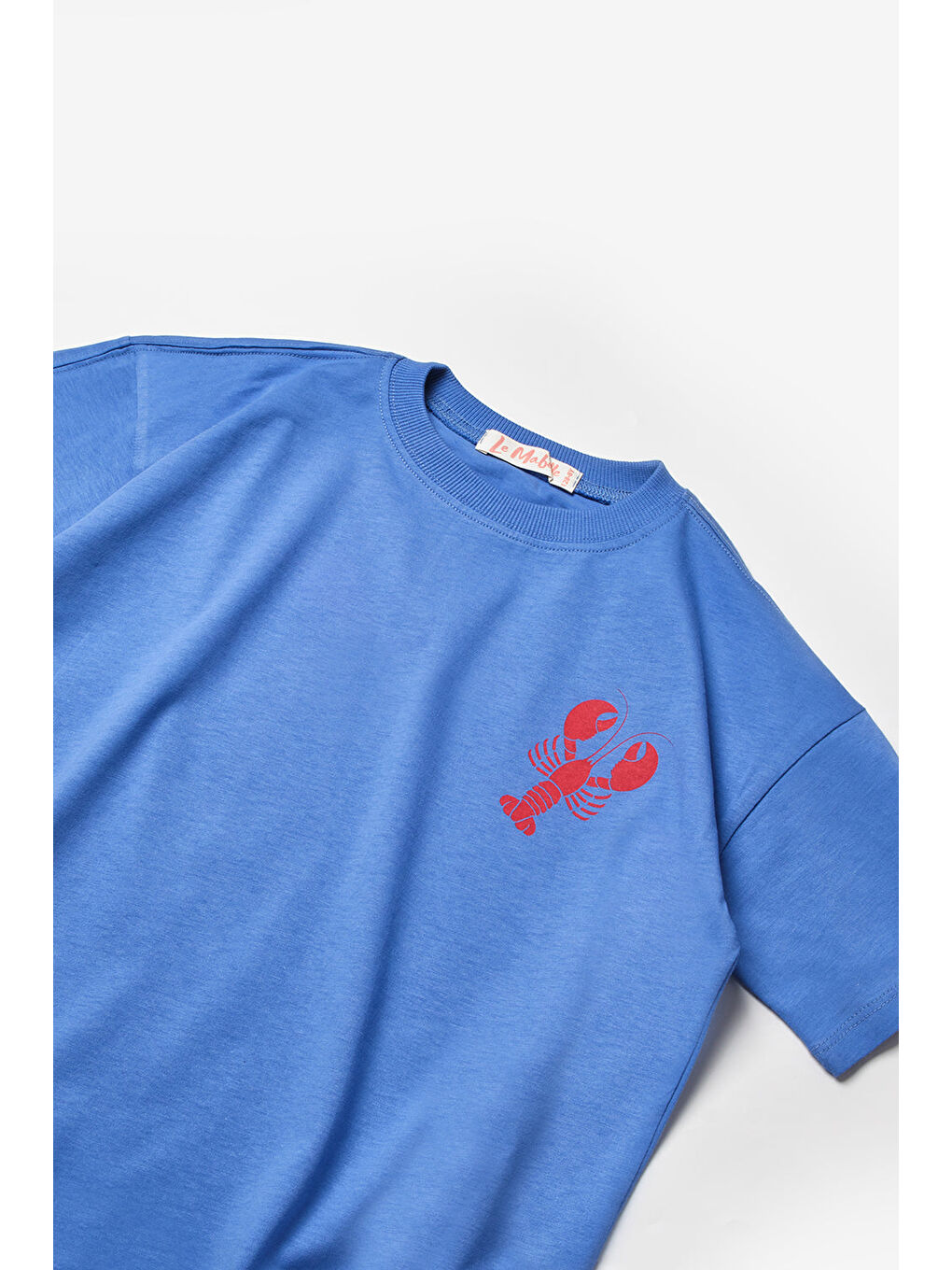 Mavi Istakoz Desenli Çocuk Tişört-5