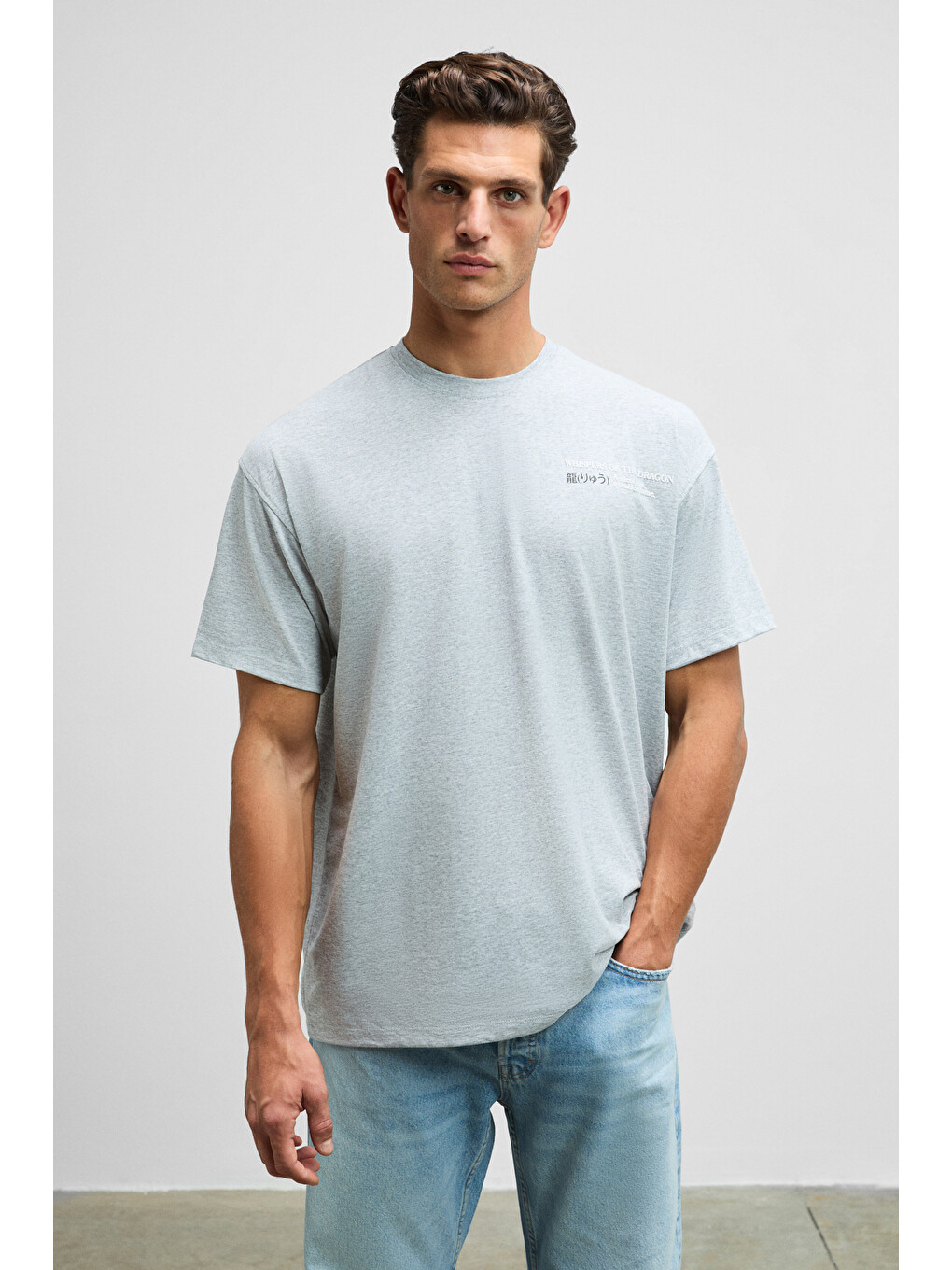 Dragon Erkek Göğsü Ve Sırtı Baskılı %100 Organik Pamuk Oversize Fit Bisiklet Yaka Gri Melanj T-shirt-1