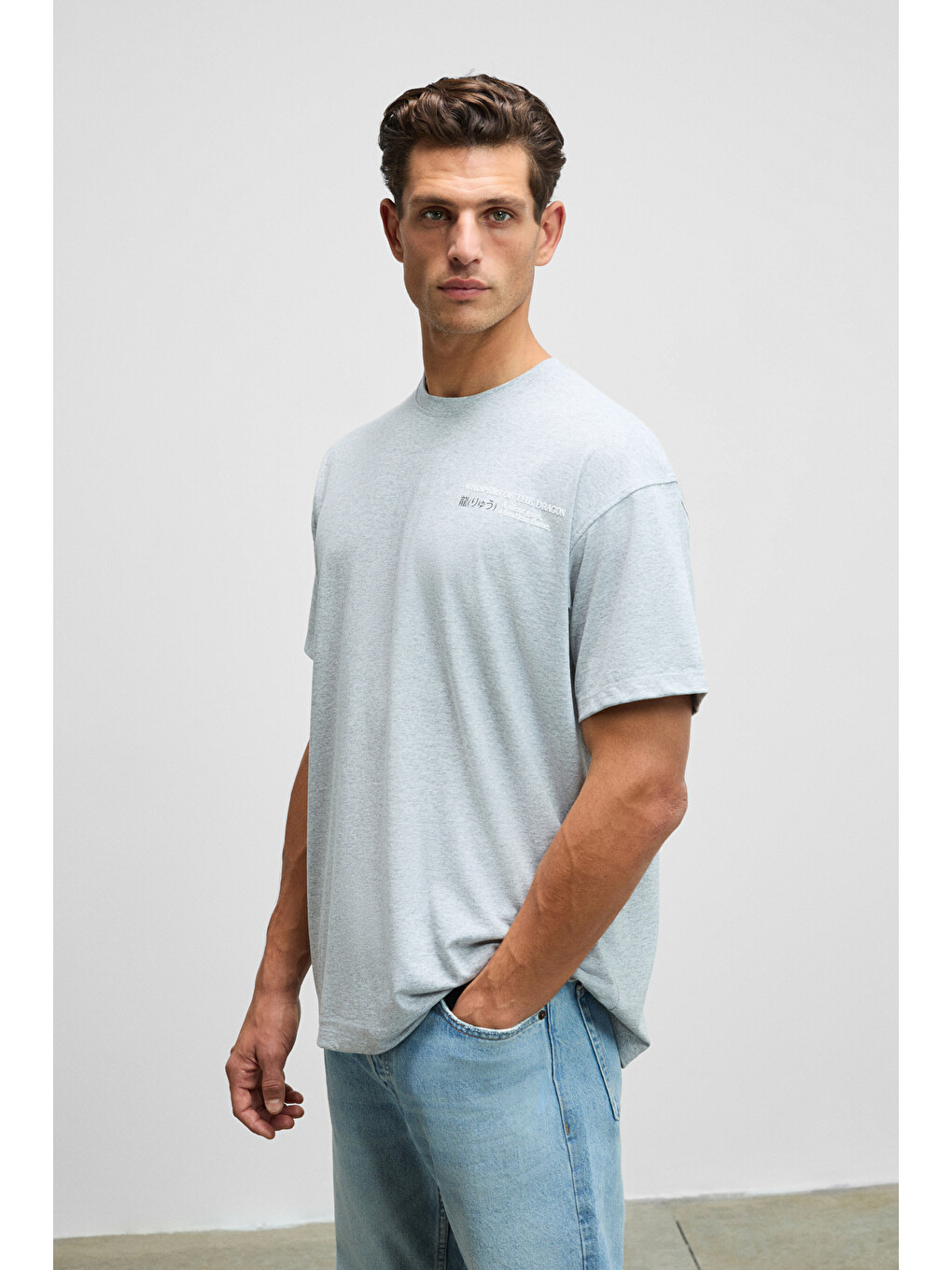 Dragon Erkek Göğsü Ve Sırtı Baskılı %100 Organik Pamuk Oversize Fit Bisiklet Yaka Gri Melanj T-shirt-3