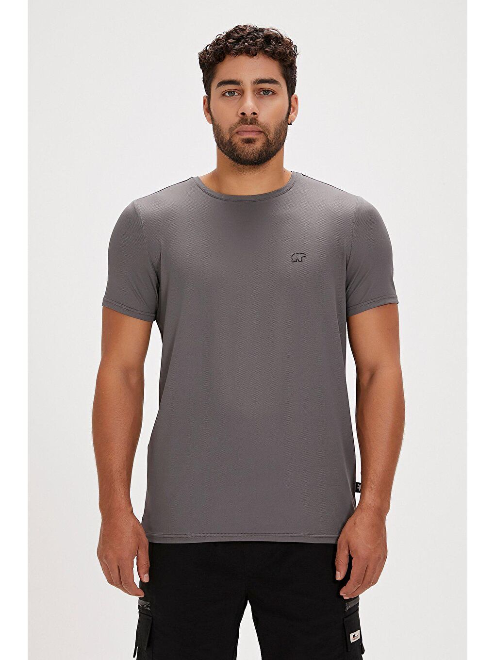 Gri Frank Asfalt Basic Erkek Tişört