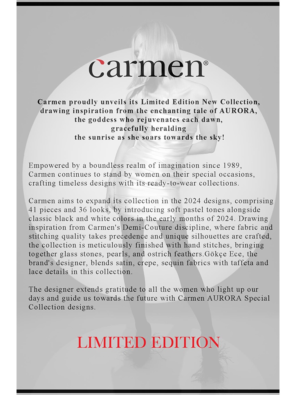 Limited Edition | Valeria Siyah Uzun Elbise-6