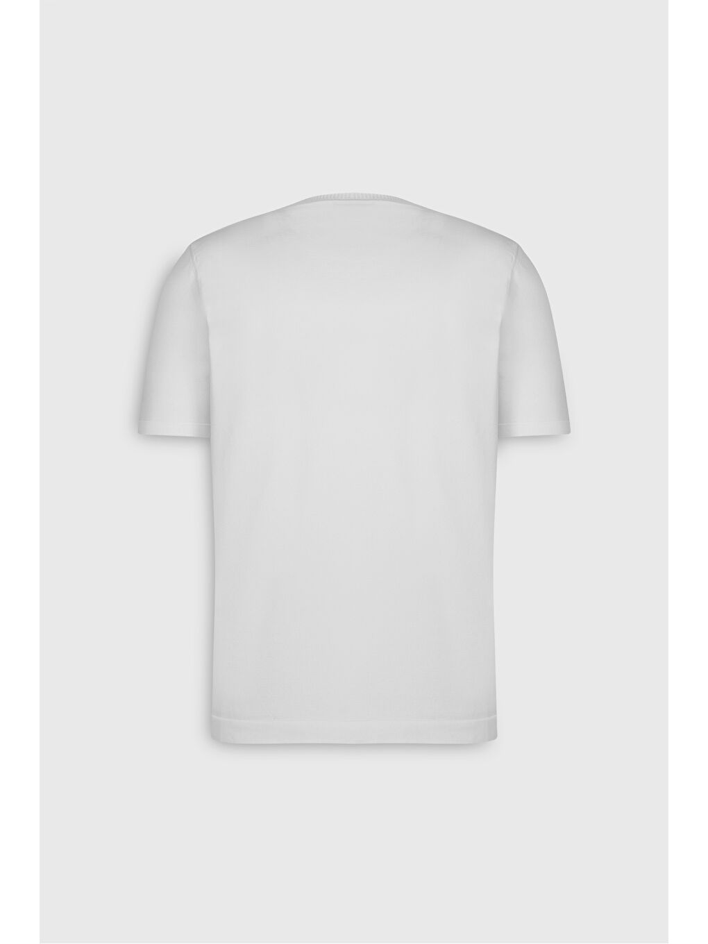 Erkek Ekru Standart Fit Normal Kesim Bisiklet Yaka Triko Tişört-8