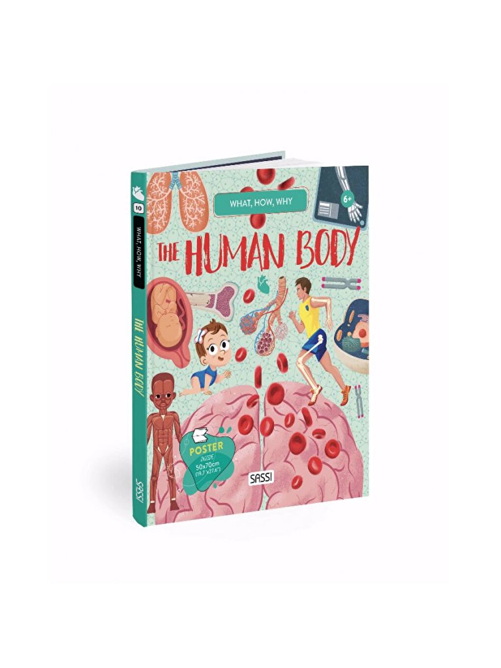 What - How - Why - Human Body