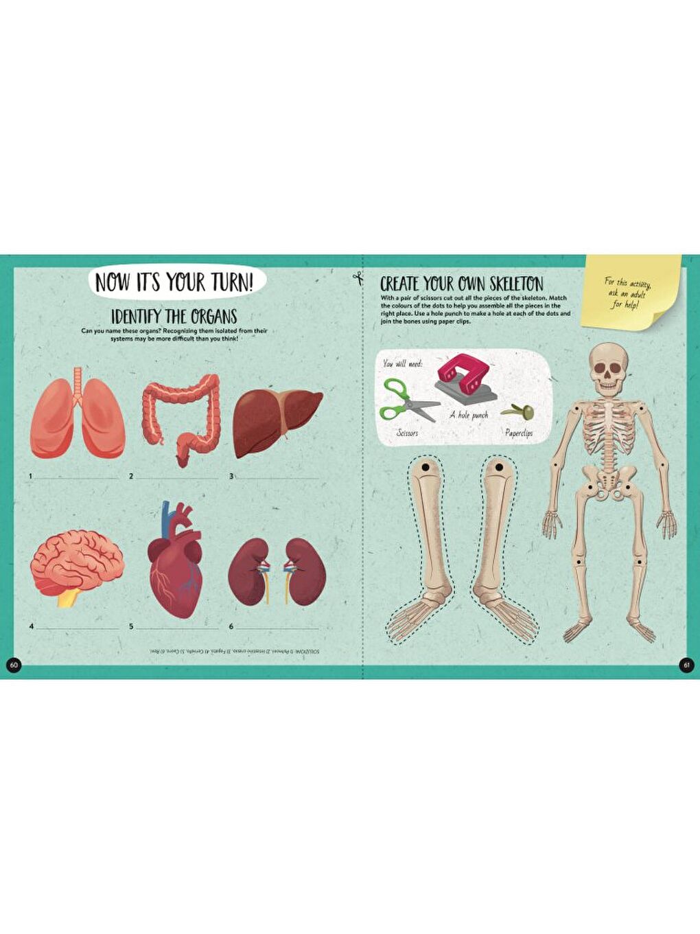 What - How - Why - Human Body-2