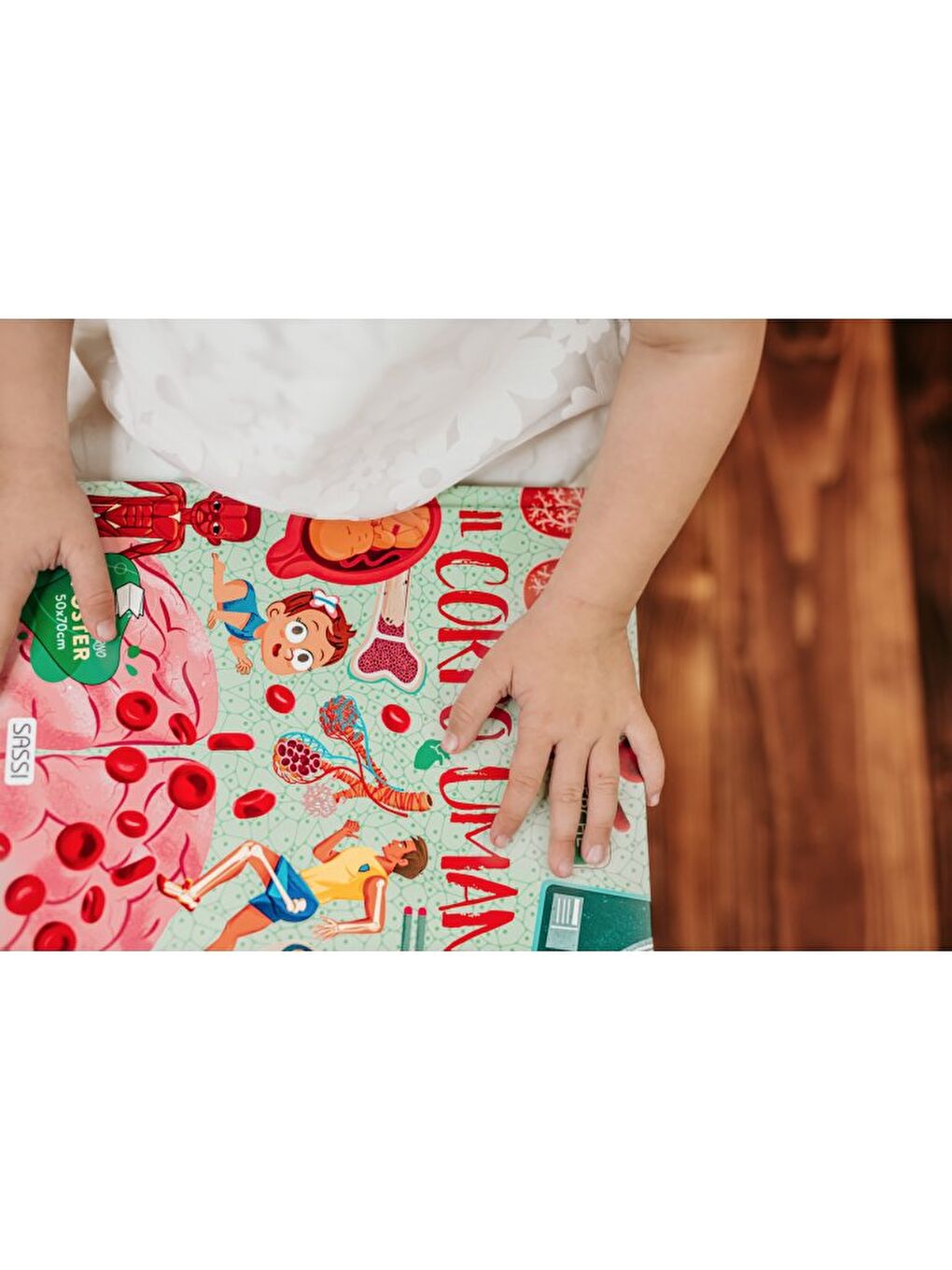 What - How - Why - Human Body-3