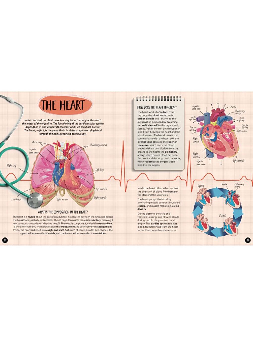 What - How - Why - Human Body-5
