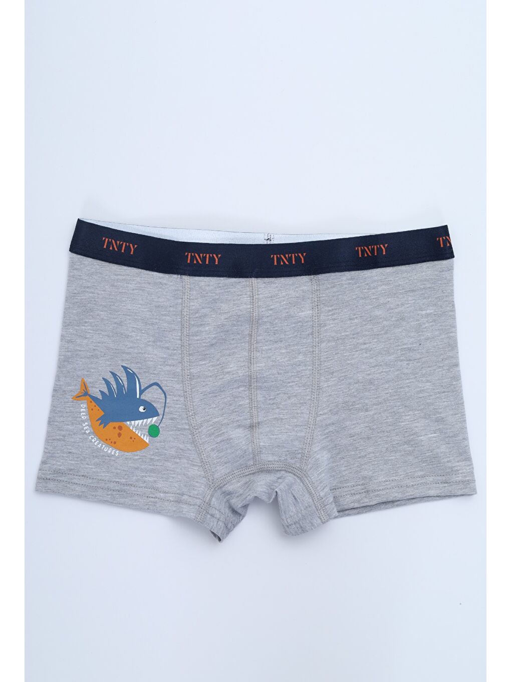 Ekru Erkek Çocuk Çok Desenli 4lü Paket Boxer-3