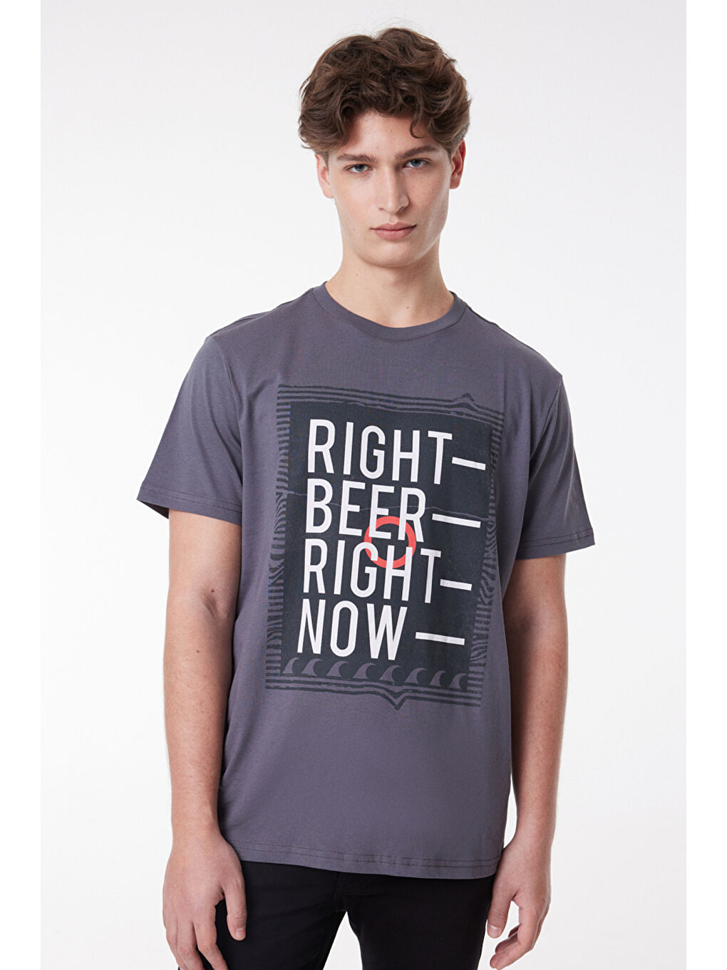 Antrasit Regular Fit Rahat Kesim %100 Pamuk Bisiklet Yaka Kısa Kollu Tişört-2