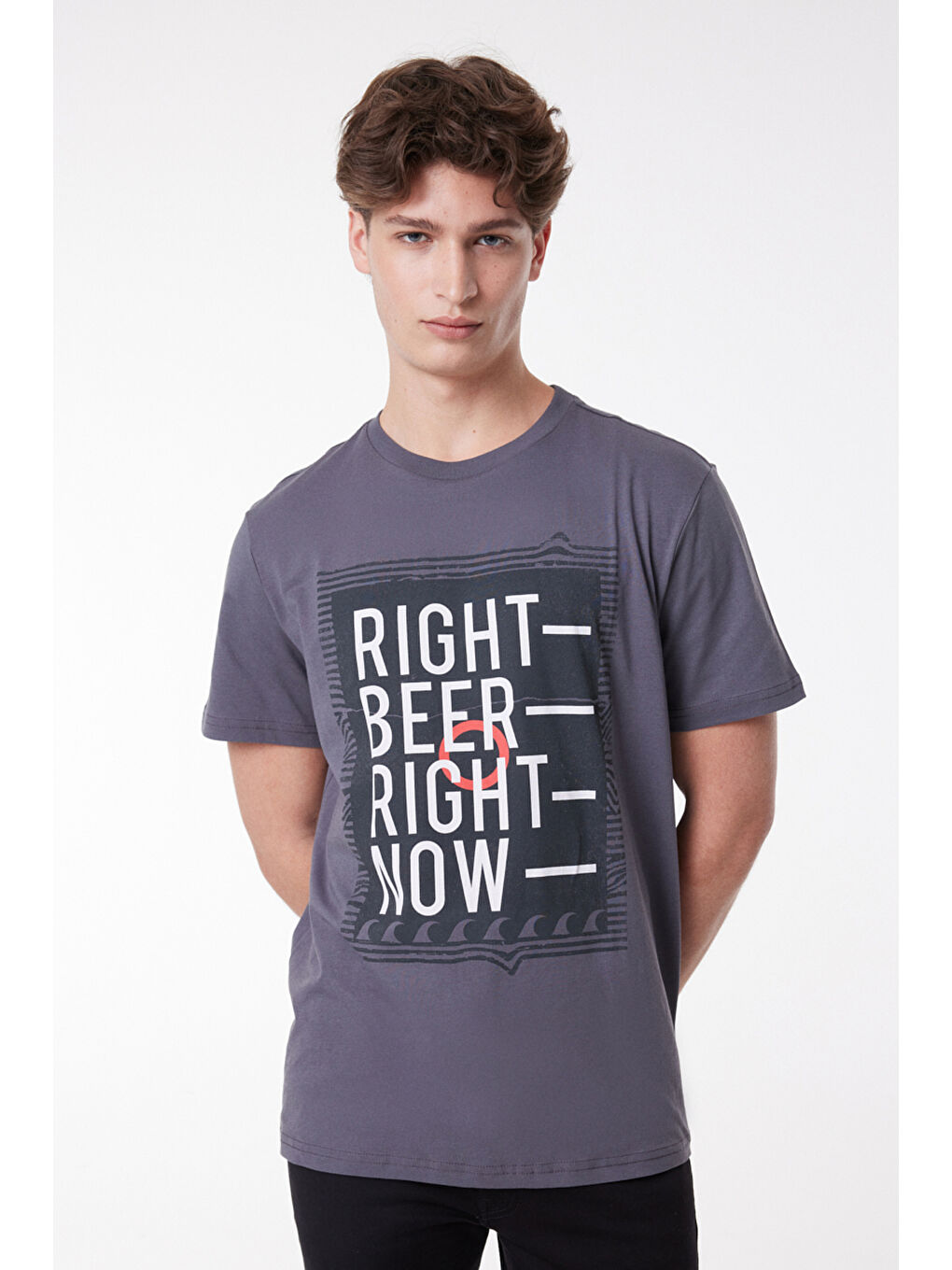 Antrasit Regular Fit Rahat Kesim %100 Pamuk Bisiklet Yaka Kısa Kollu Tişört-3