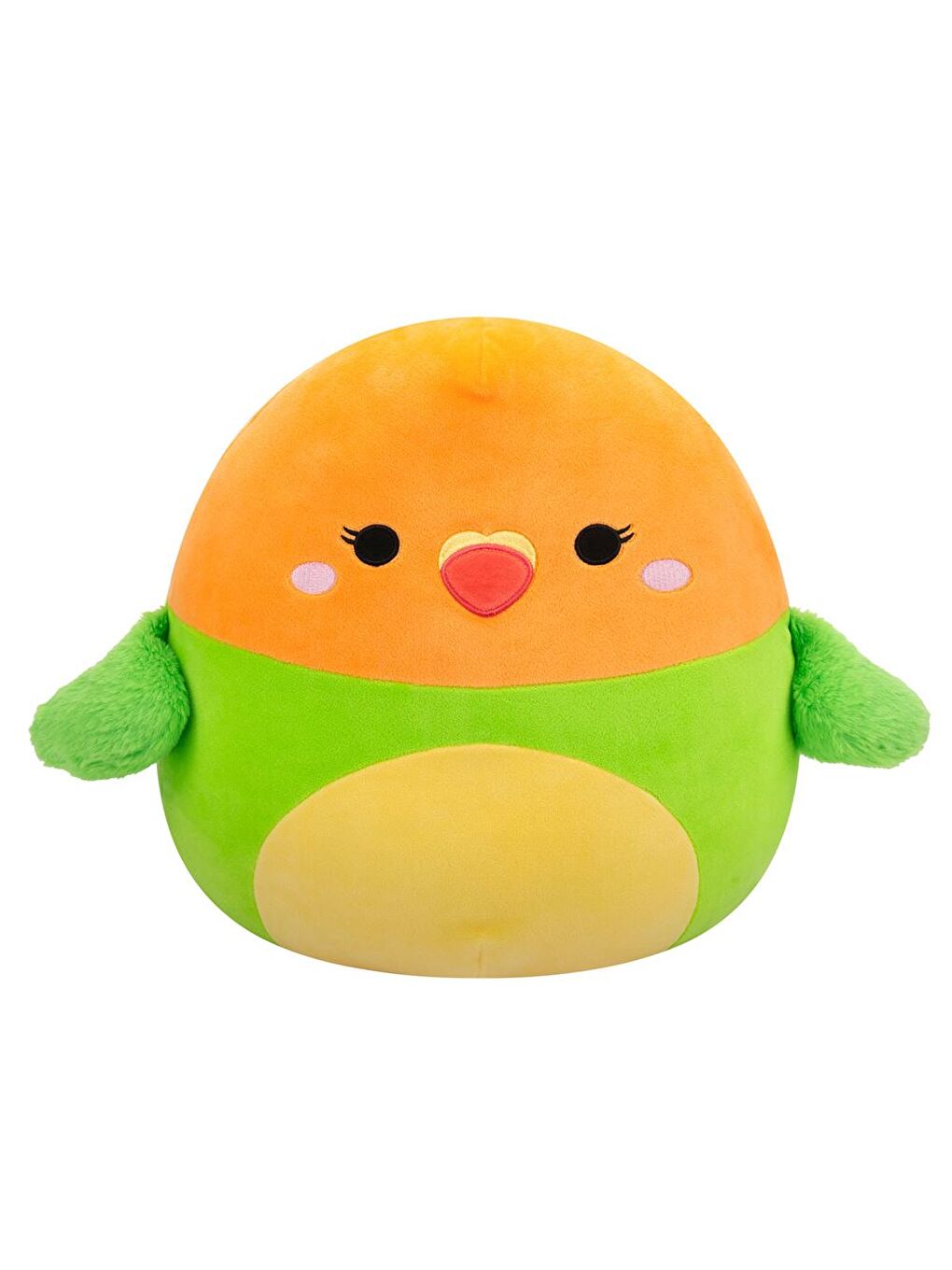 Cennet Papağanı Plath 36cm SQCR06721