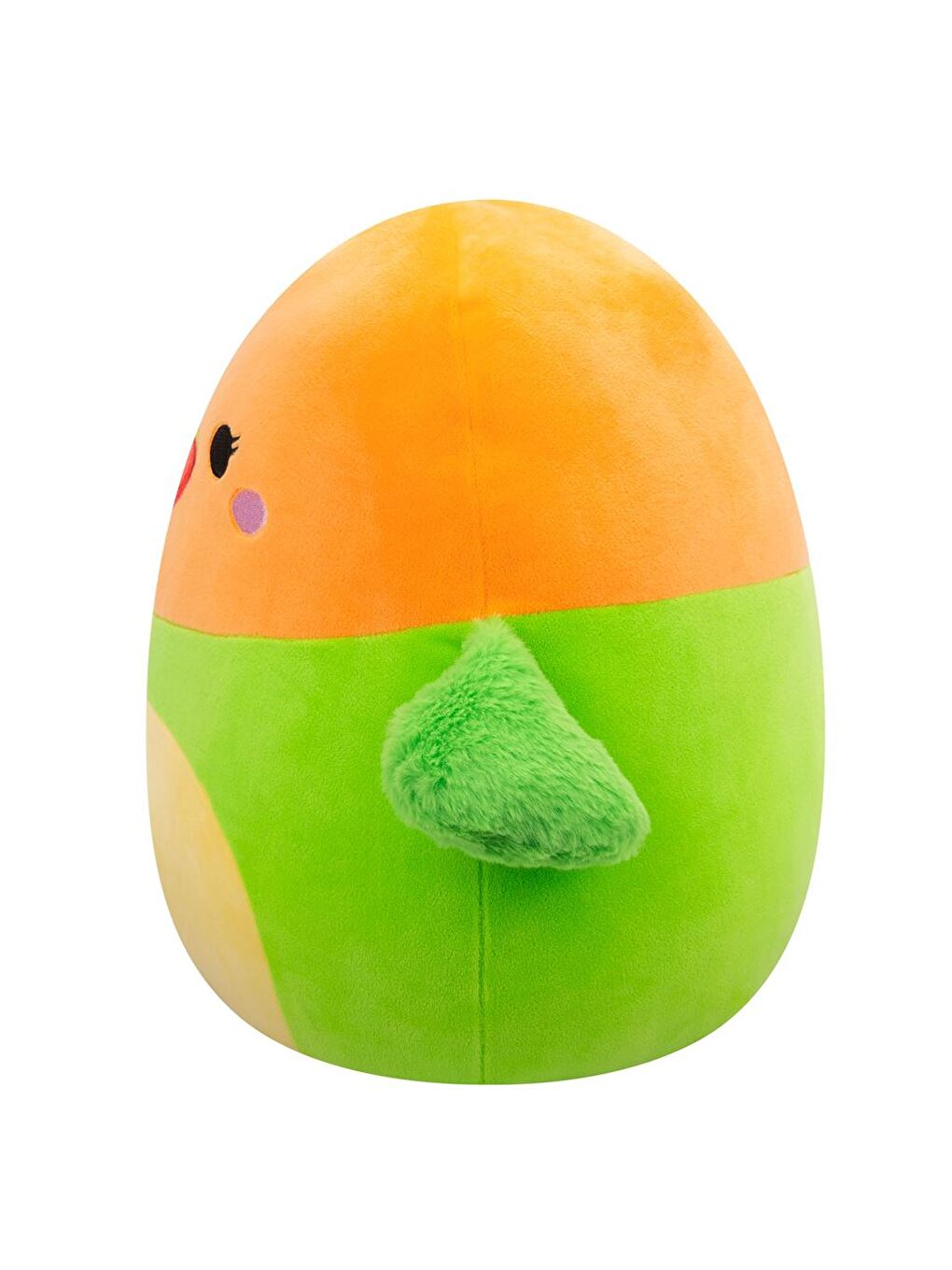 Cennet Papağanı Plath 36cm SQCR06721-2