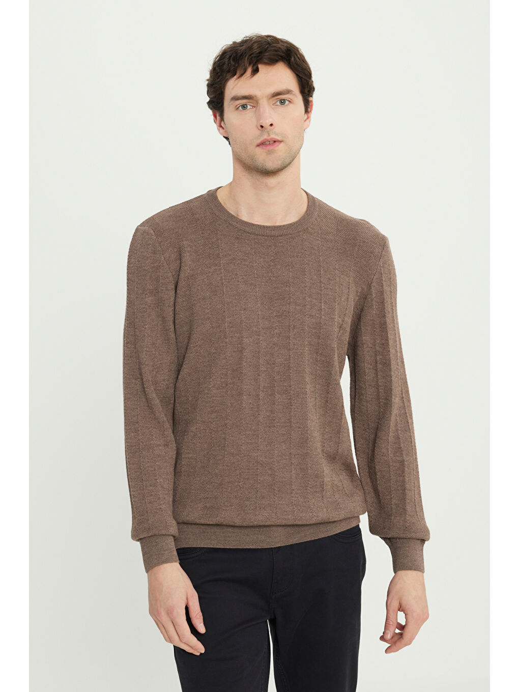 Erkek Kahverengi Yün Standart Fit Normal Kesim Bisiklet Yaka Jakarlı Triko Kazak