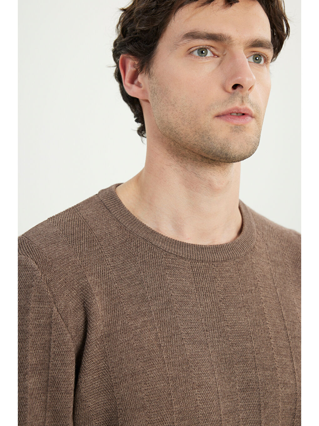 Erkek Kahverengi Yün Standart Fit Normal Kesim Bisiklet Yaka Jakarlı Triko Kazak-3