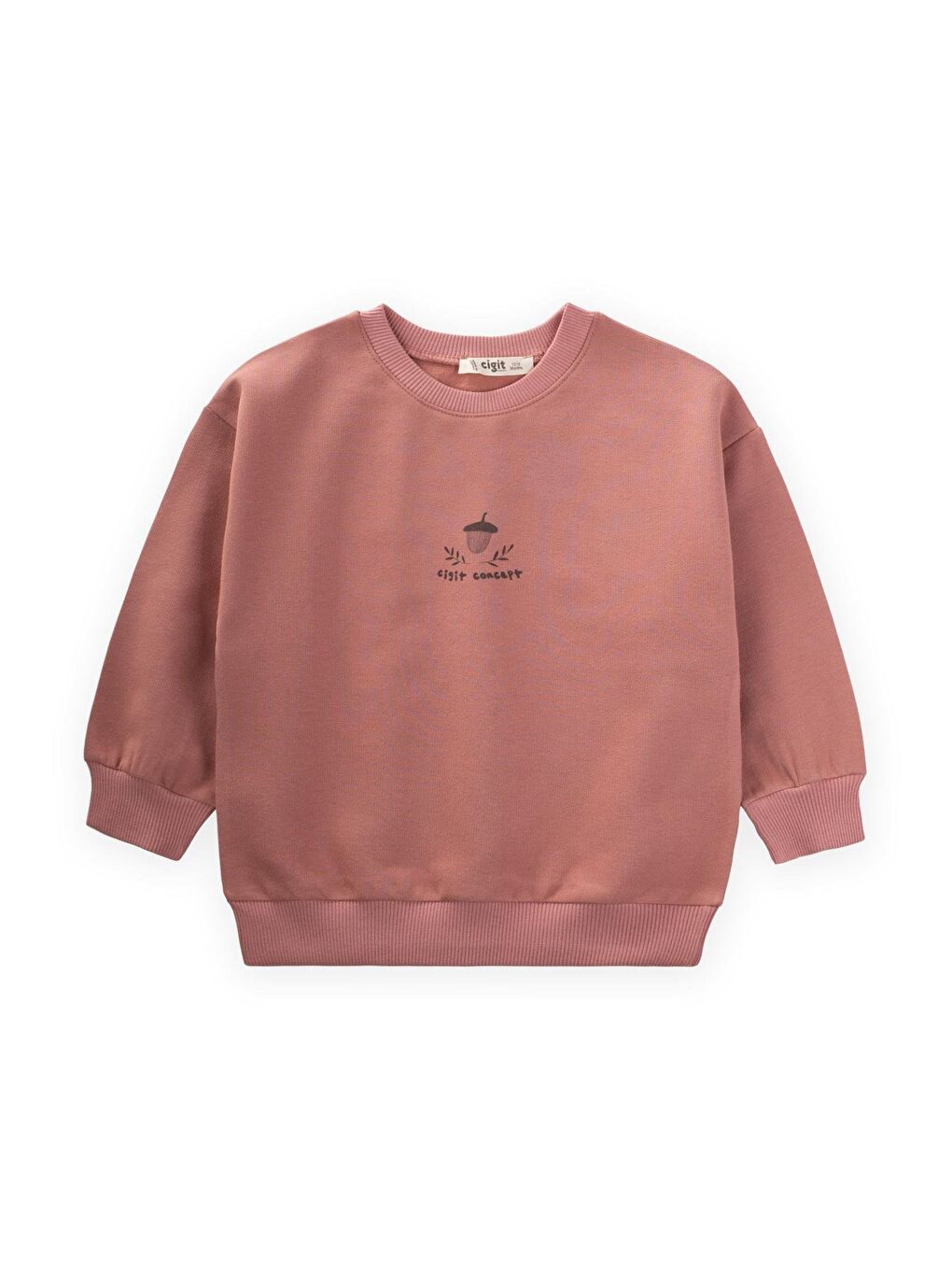 CİGİT Pembe Palamut Baskılı Sweatshirt 1-7 Yaş Gül Kurusu