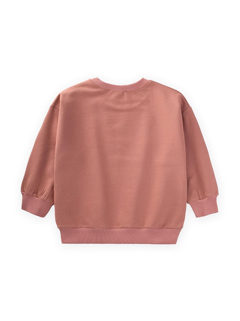 CİGİT Pembe Palamut Baskılı Sweatshirt 1-7 Yaş Gül Kurusu - 1