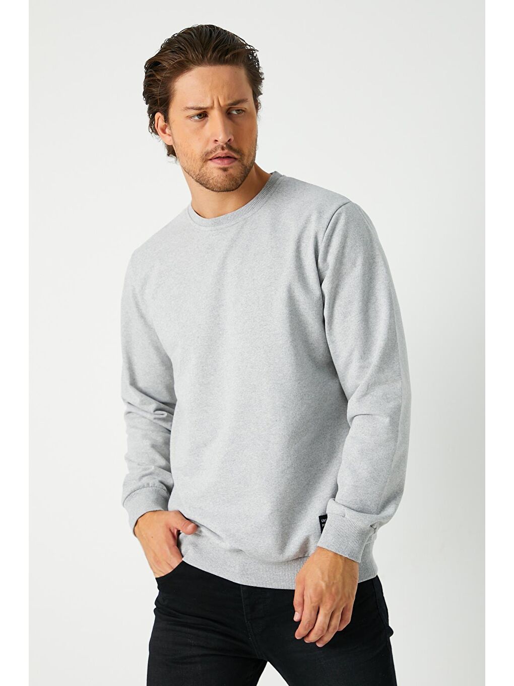 Erkek Gri Basic Bisiklet Yaka Büyük Beden Sweatshirt-1