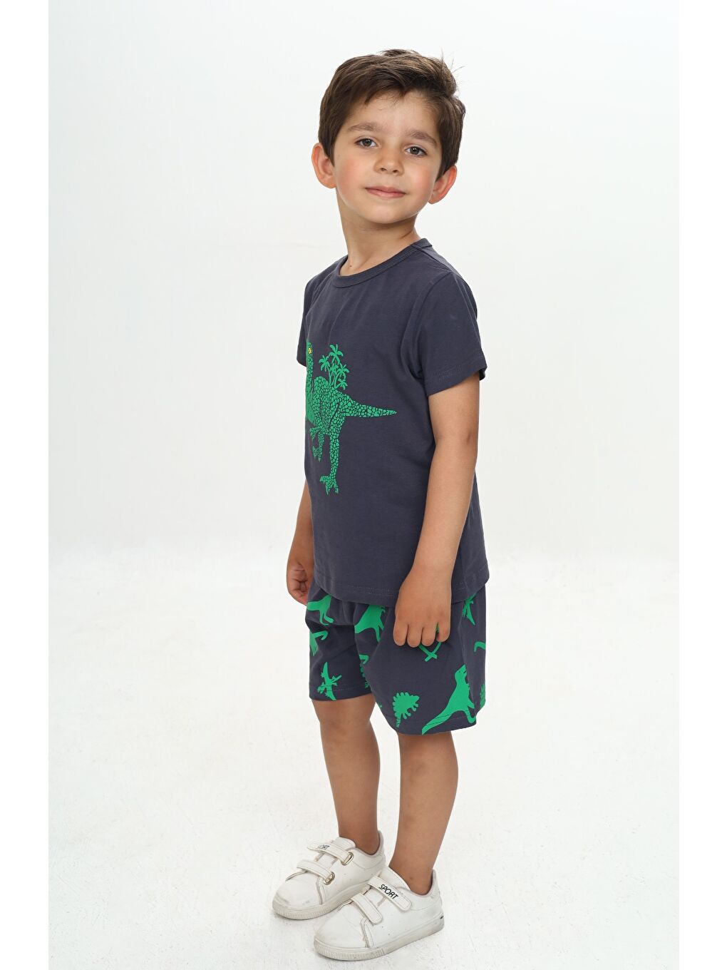 Antrasit Erkek Çocuk Kabaran Dinozor Baskılı Şortlu Takım-1
