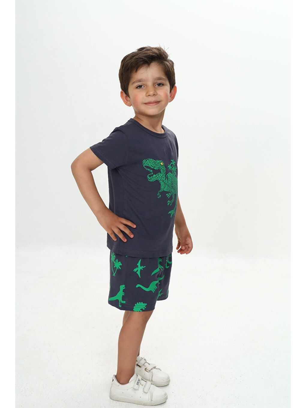 Antrasit Erkek Çocuk Kabaran Dinozor Baskılı Şortlu Takım-2