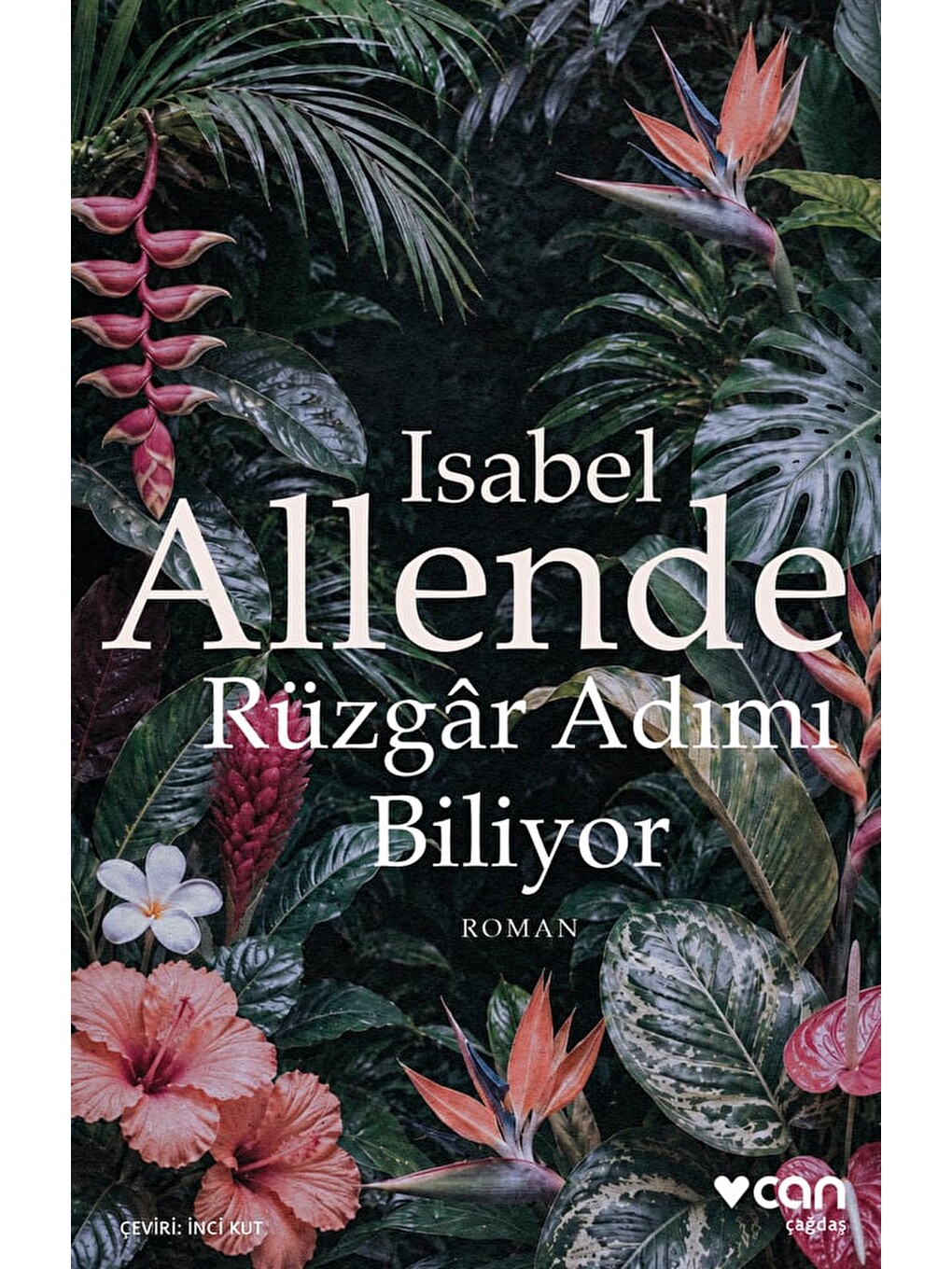 Rüzgâr Adımı Biliyor