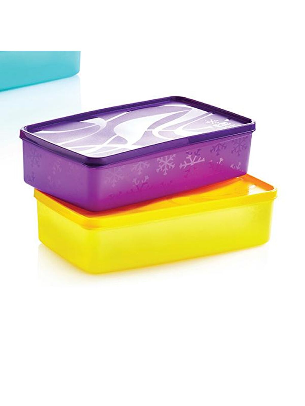 Karışık Alaska Dikdörtgen Derin Dondurucu Saklama Kabı - Asorti - 2,1 lt-1