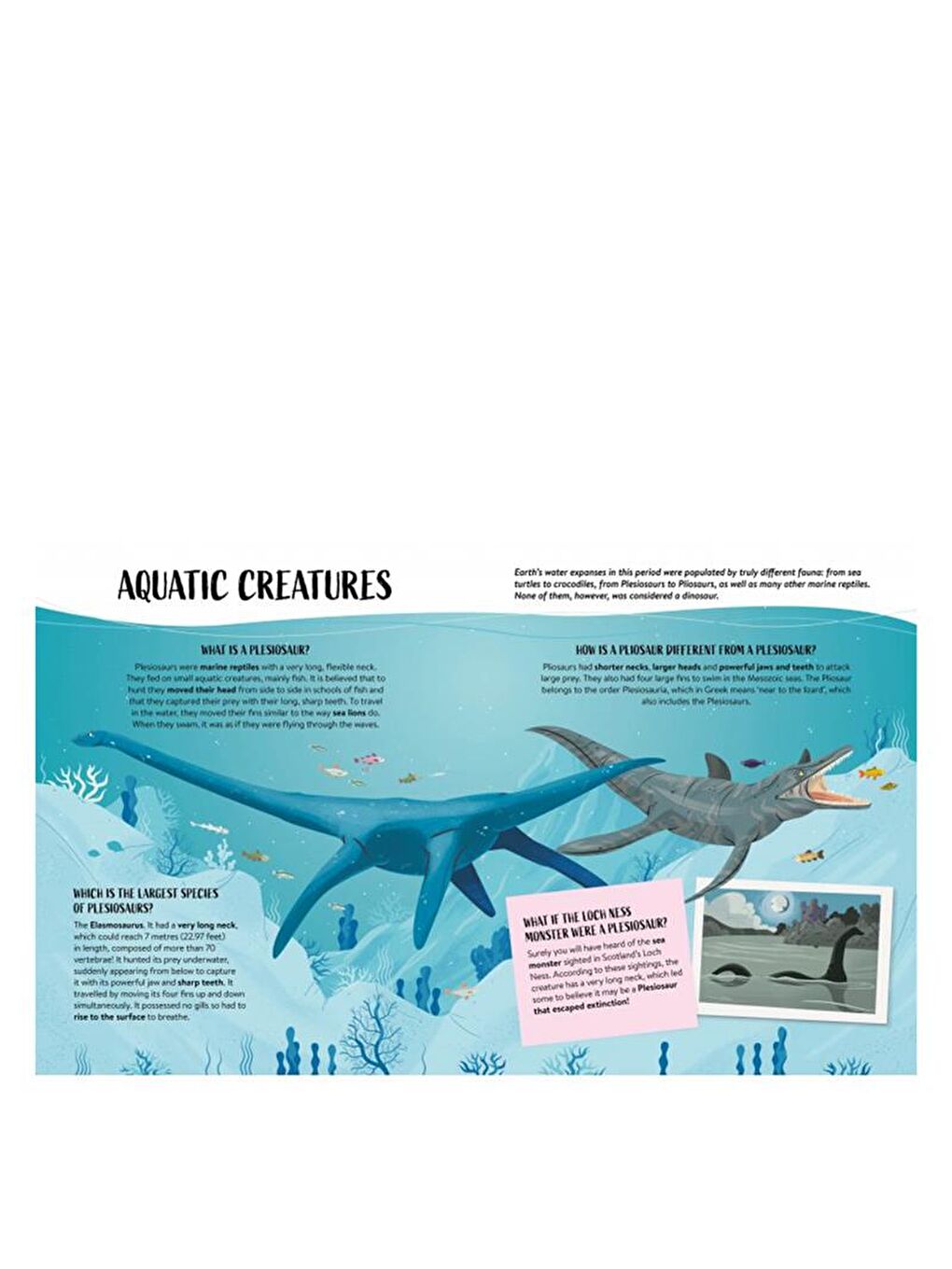 What - How - Why? Earth-3