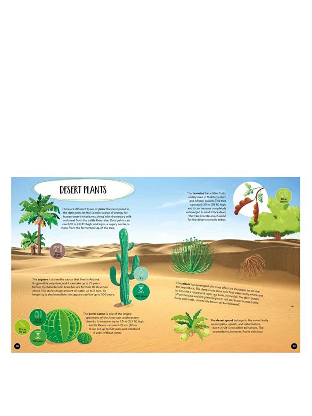 What - How - Why? Earth-4