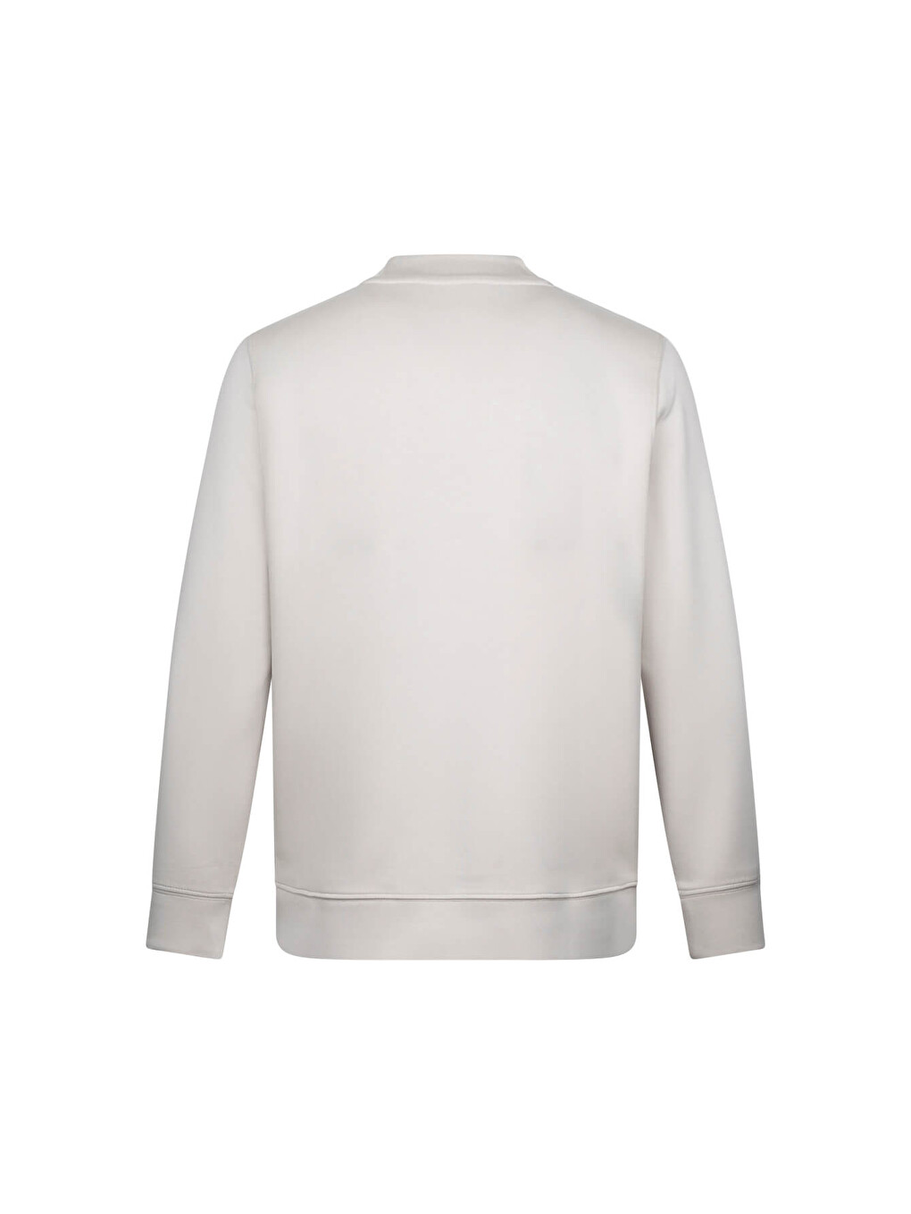 Bej Taş Regular Fit Bisiklet Yaka Sweatshirt-1