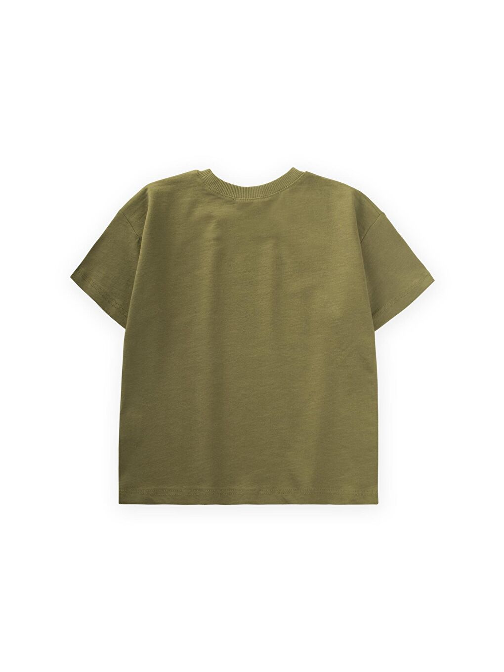 Yeşil Erkek Çocuk Baskılı Tişört-1