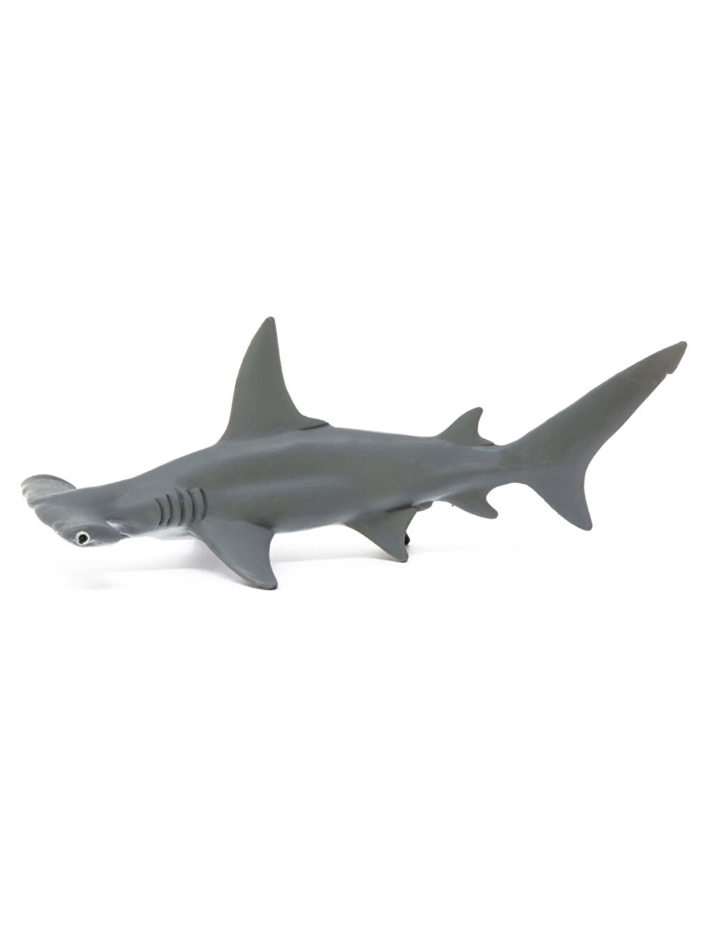 Çekiçbaşlı Köpekbalığı 14835-1