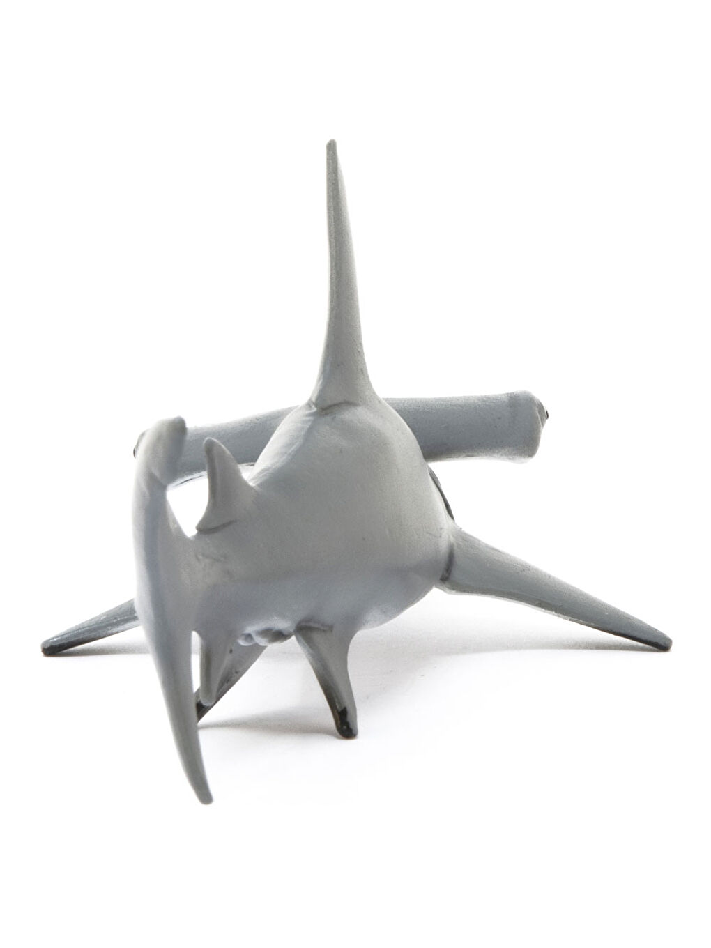 Çekiçbaşlı Köpekbalığı 14835-2