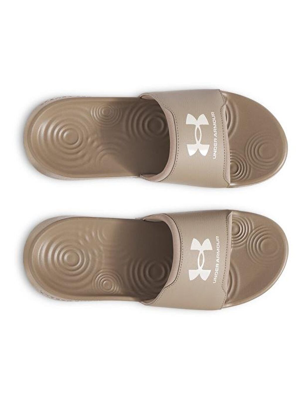 Ignite Select Erkek Kahverengi Terlik-1