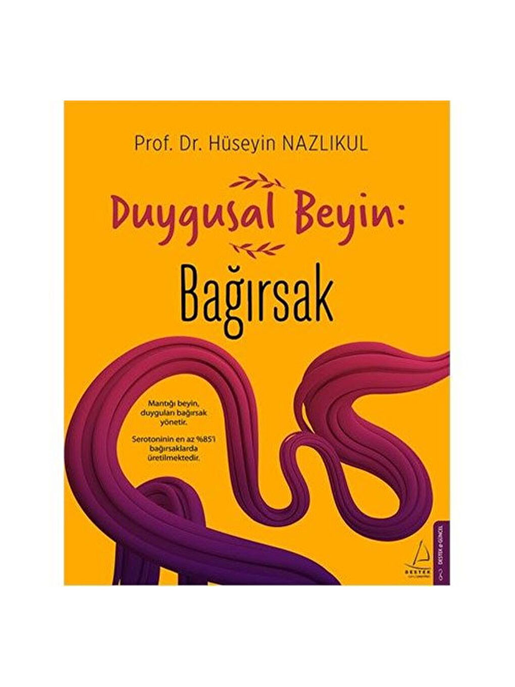 Duygusal Beyin Bağırsak Hüseyin Nazlıkul