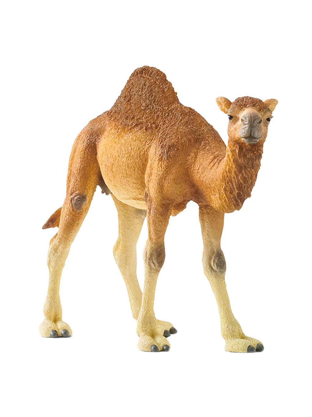 Wild Life Figür Hörgüçlü Deve CWL14832