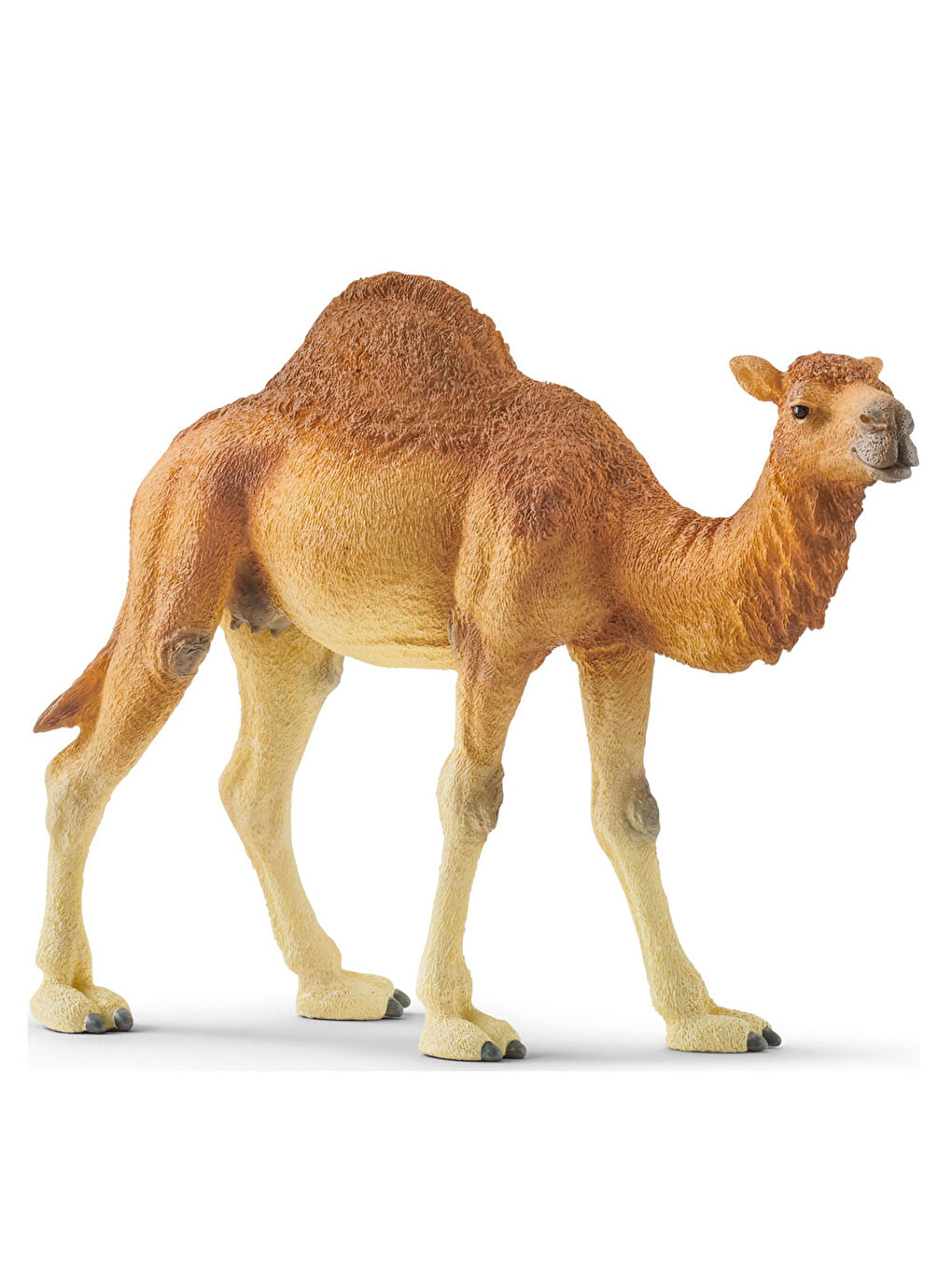 Wild Life Figür Hörgüçlü Deve CWL14832-1