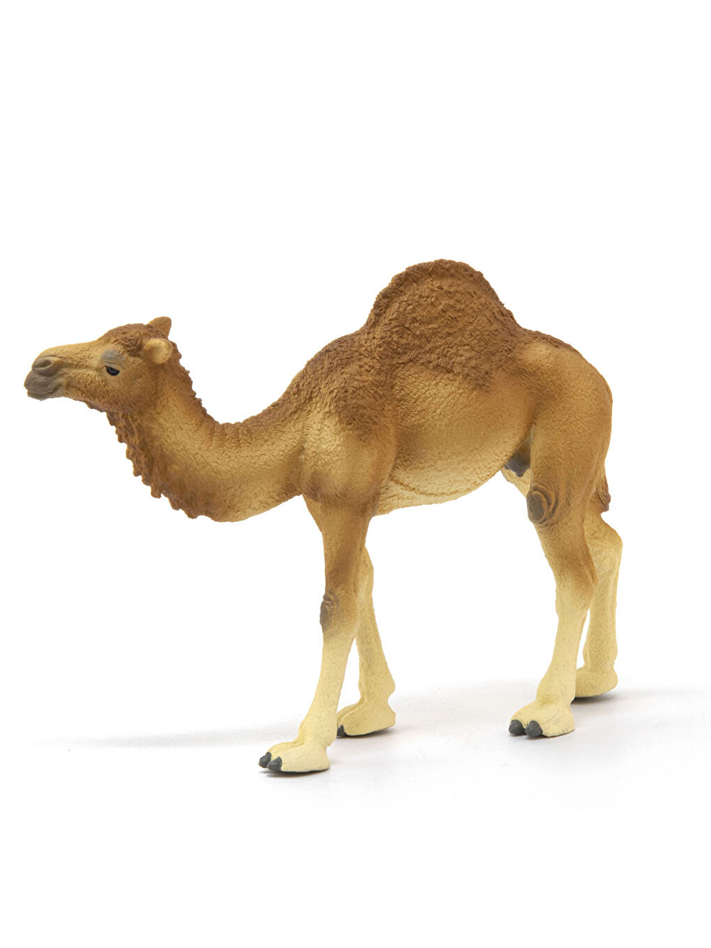 Wild Life Figür Hörgüçlü Deve CWL14832-2