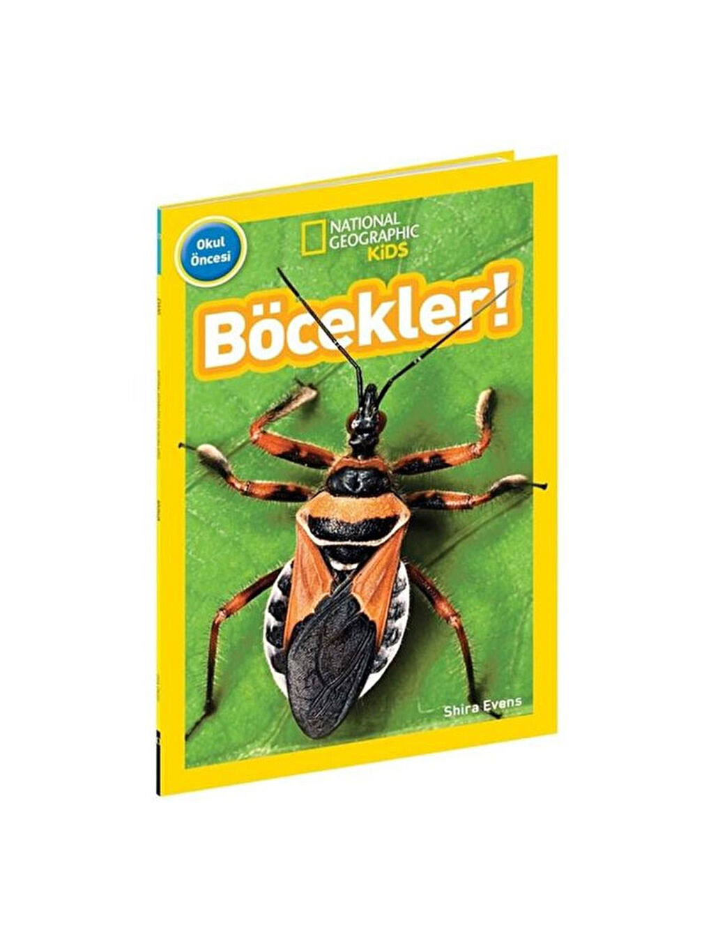 National Geographic Kids Böcekler