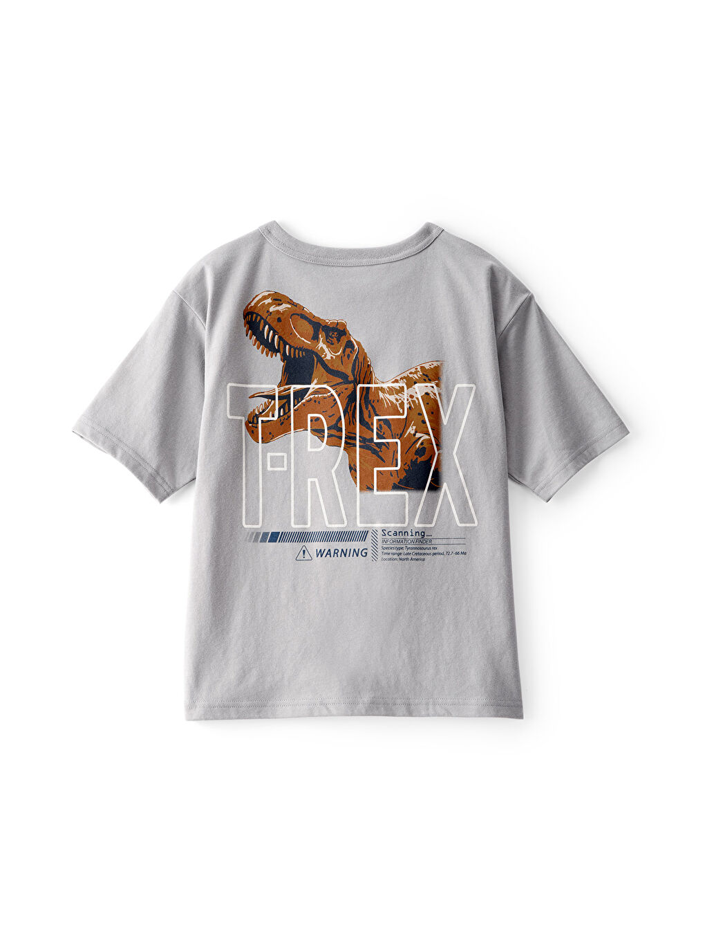 Erkek Çocuk Gri Tshirt-1