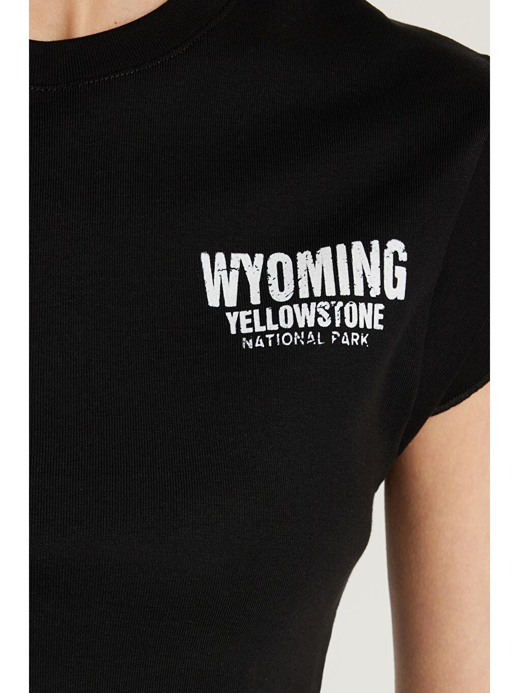 Kadın Slim Fit Ribanalı Baskılı %100 Pamuk Bisiklet Yaka Siyah Tişört-1