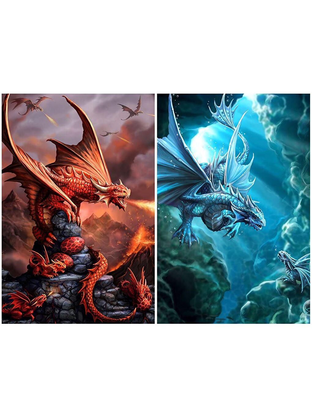 Ateş Ejderhası ve Su Ejderhası İkili Puzzle 200 Parça 10244-1